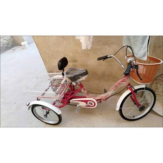 Xe đạp 3 bánh người lớn - odr