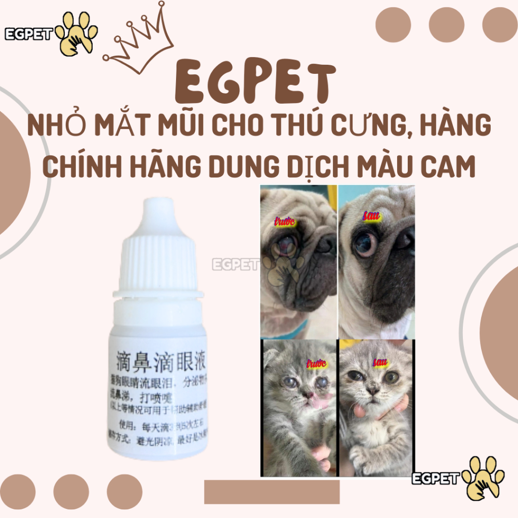 Nhỏ mắt, nhỏ mũi cho chó mèo thần thánh viêm mí mắt, chảy nước mắt, hắt hơi, sổ mũi, ho có đờm