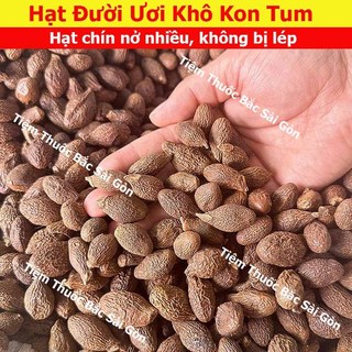 Hạt Đười Ươi Bay (đười ươi rừng) 100gram