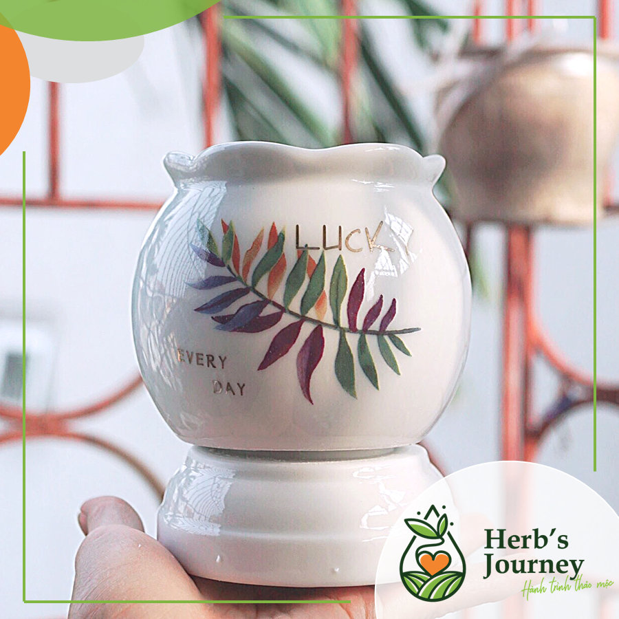   Chọn mẫu-Tặng bóng  Đèn xông tinh dầu gốm sứ Bát Tràng - Máy xông tinh dầu điện - Sứ thấu quang 