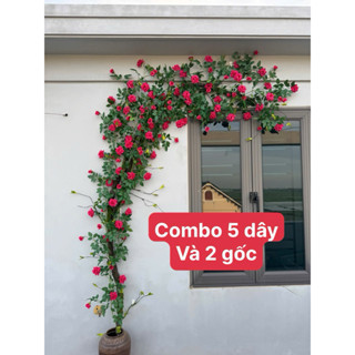  Dây hồng leo Bông xoăn hoa lụa hoa giả trnag trí 