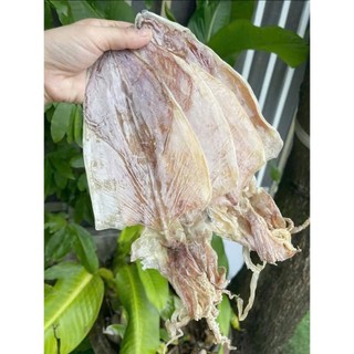 500Gr Mực khô  size 20-25 con 1kg  bầu câu bao thơm ngon ngọt 