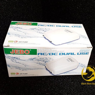 Sủi oxy tích điện Jebo 9950 / 9970 – Hoạt động ổn định, chạy êm