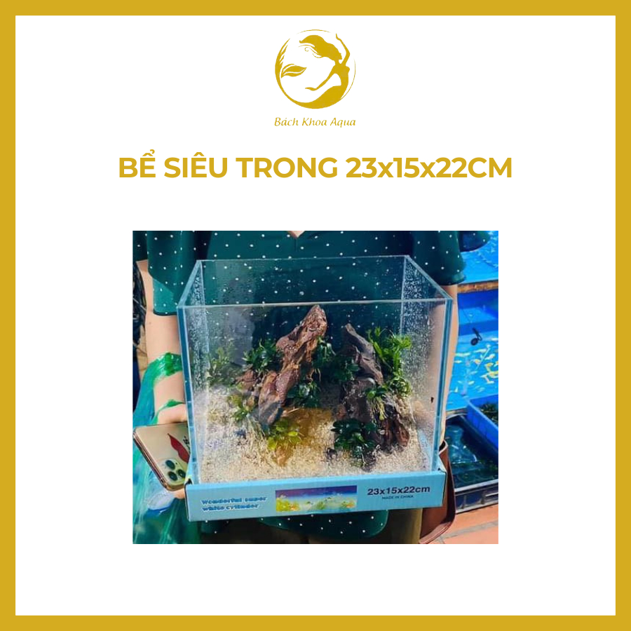 Bể siêu trong 23x15x22cm - Bể kính đẹp, siêu trong
