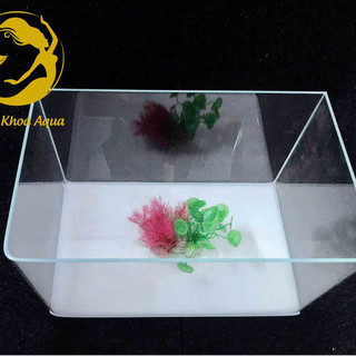 Bể đúc siêu trong 35x20x23cm - Bể đúc bo 2 góc tròn, kính siêu trong đẹp
