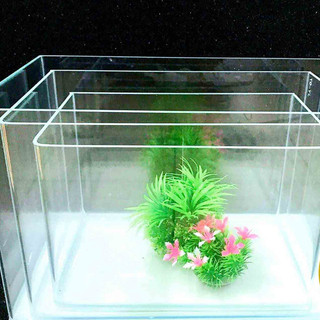 Bể đúc siêu trong 35x20x23cm - Bể đúc bo 2 góc tròn, kính siêu trong đẹp