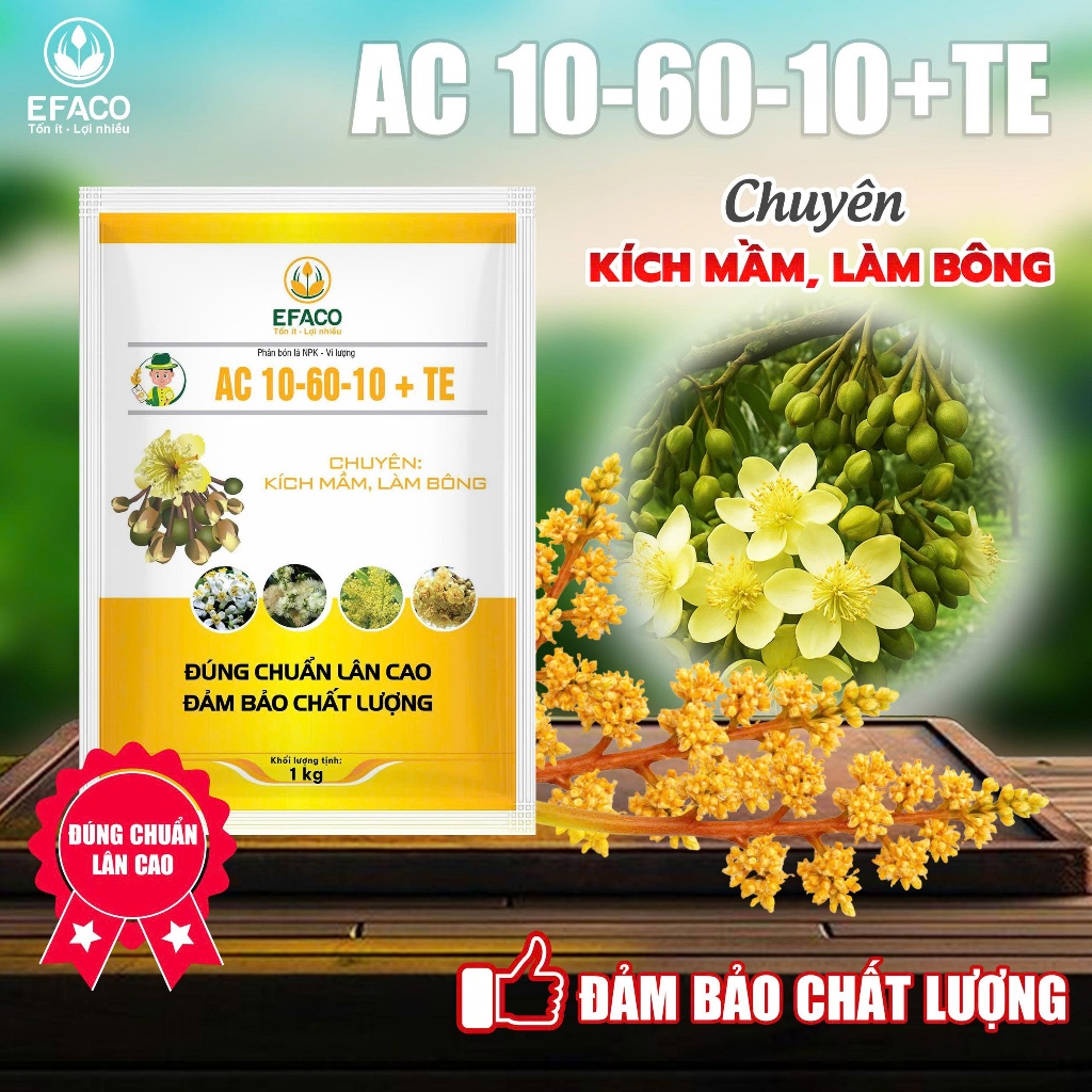 Phân Bón AC 10-60-10+TE 1kg/gói