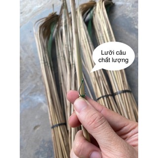 Cần câu cắm cá cột sẵn (combo 50 cần)
