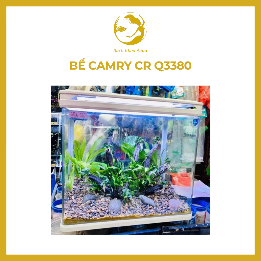Bể CR Q3380 - Bể đúc nguyên khối, sẵn đèn, máy sủi
