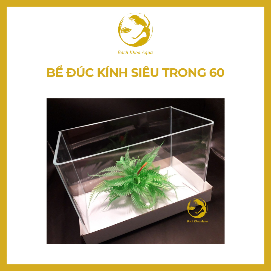 Bể đúc kính siêu trong 60 nhập khẩu
