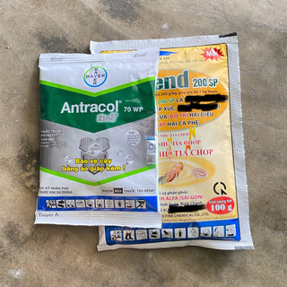  Combo Trị Thán Thư Rỉ Sét Bọ trĩ . Bảo Vệ Cây Nho. Antracol 70WP + Bọ trĩ . 