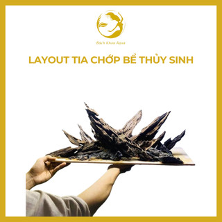  Layout Tia Chớp cho bể cá thủy sinh 