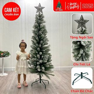 Cây Thông Noel Cao 1M8 Ốm 3 Loại Lá Phủ Tuyết Trang Trí Giáng Sinh Cho Gia Đình, Văn Phòng Khách Sạn