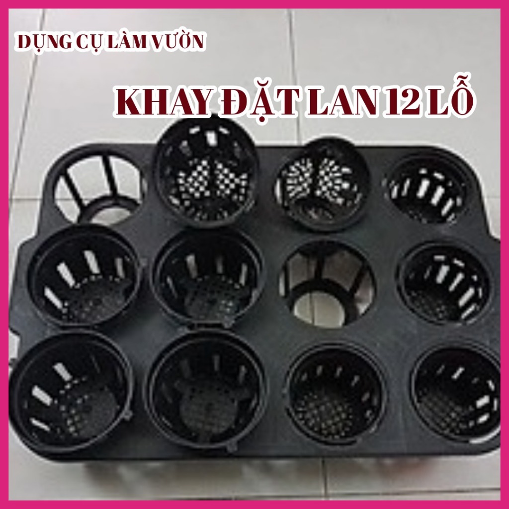 5 KHAY ĐẶT LAN 12 LỖ ( 43 x 32 x 6 )