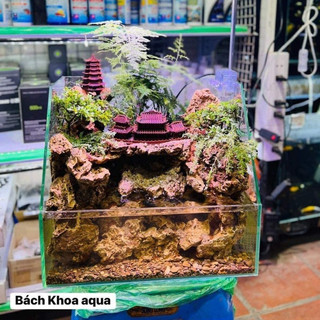 Bể bán cạn kính 5 Việt Nhật kích thước 35cm