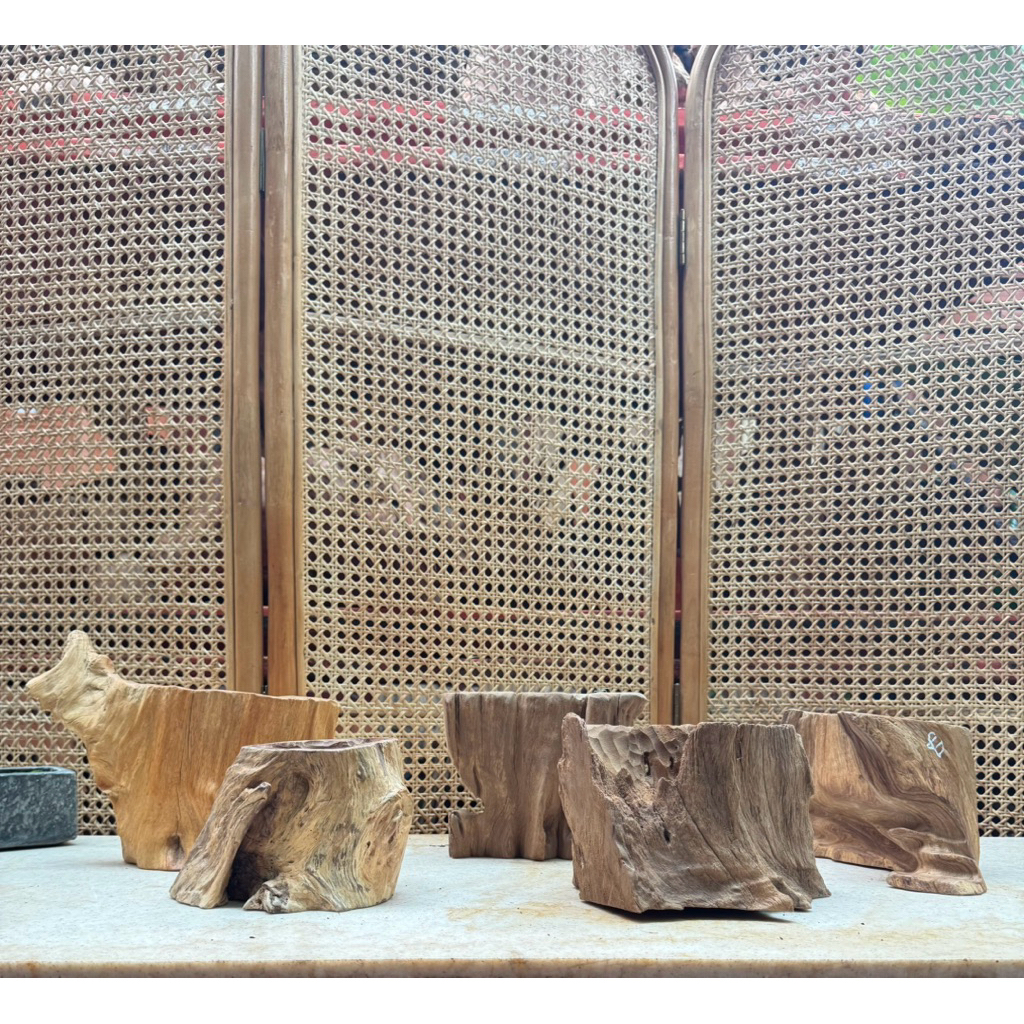 CG150 - Chậu Gỗ dáng cổ thụ // Đôn gỗ mini