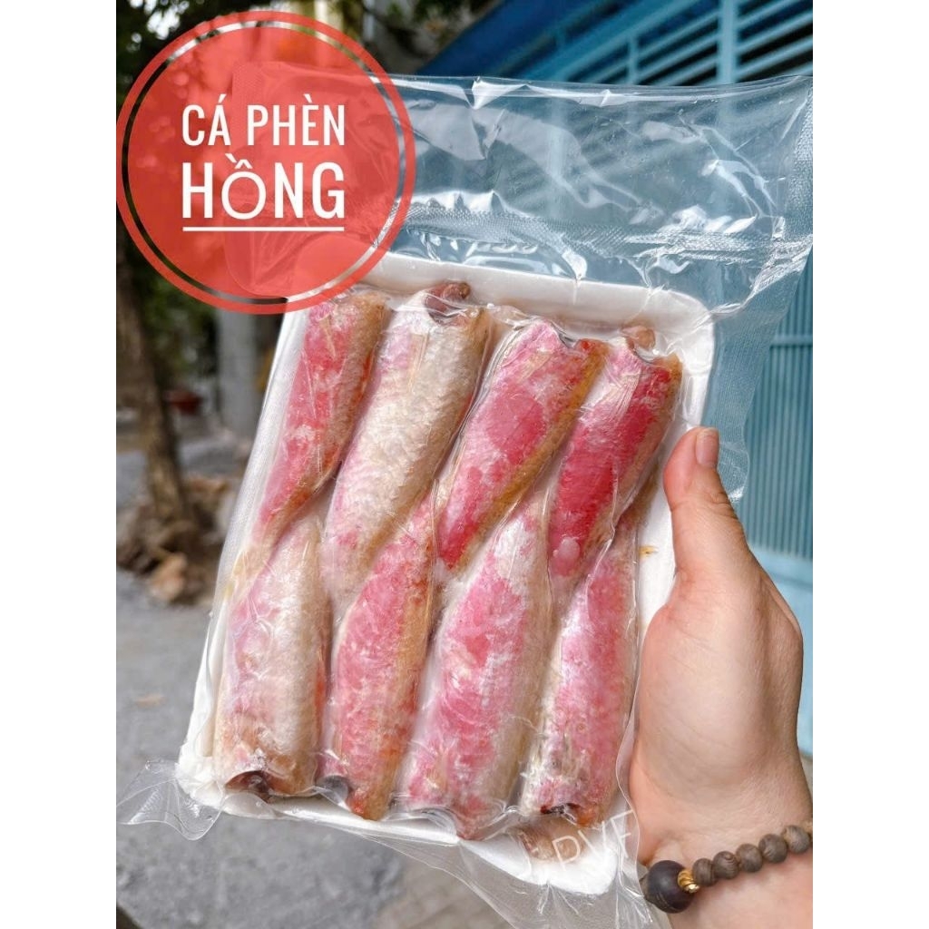 HỎA TỐC 1KI CÁ PHÈN HỒNG 1 NẮNG 🐠🐠