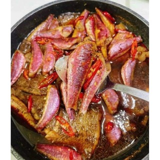 HỎA TỐC 1KI CÁ PHÈN HỒNG 1 NẮNG 🐠🐠
