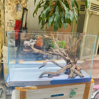 Lũa san đá miếng và cành sử dụng cho setup