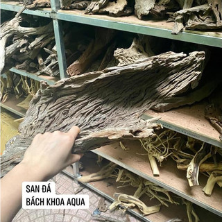 Lũa san đá miếng và cành sử dụng cho setup