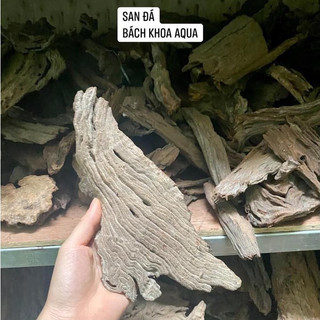 Lũa san đá miếng và cành sử dụng cho setup