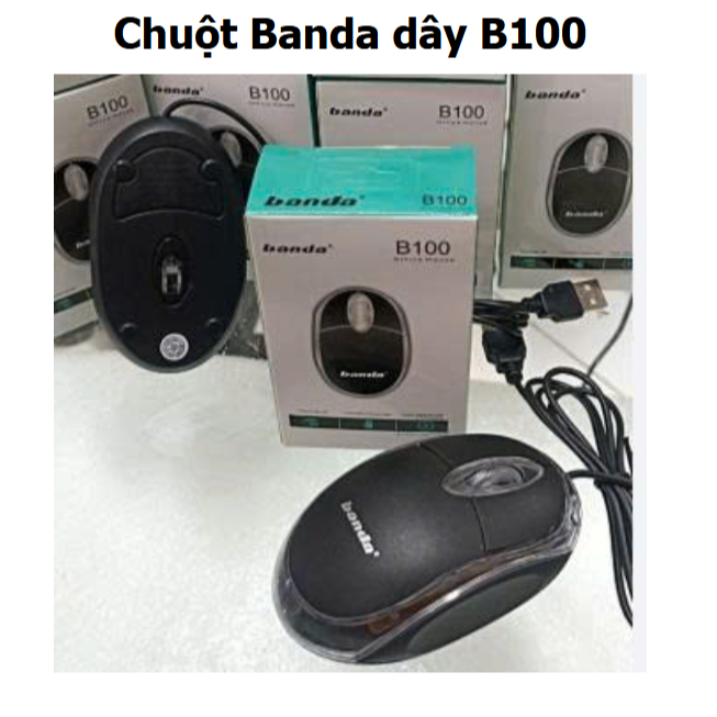 Chuột Banda dây B100