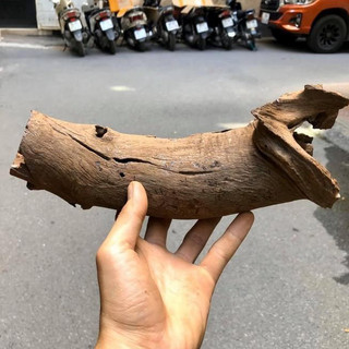 Lũa ống cho bể thủy sinh