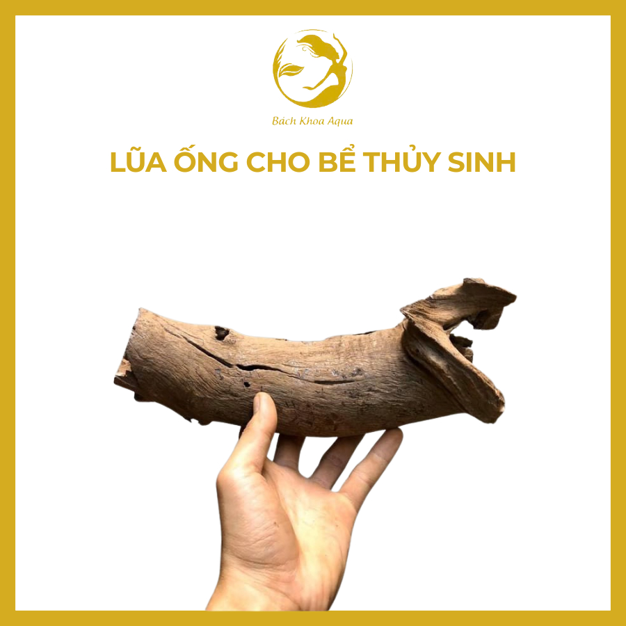Lũa ống cho bể thủy sinh
