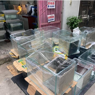 Bể đúc thường 35x21x23cm - Bể đúc bo 2 góc thẩm mỹ