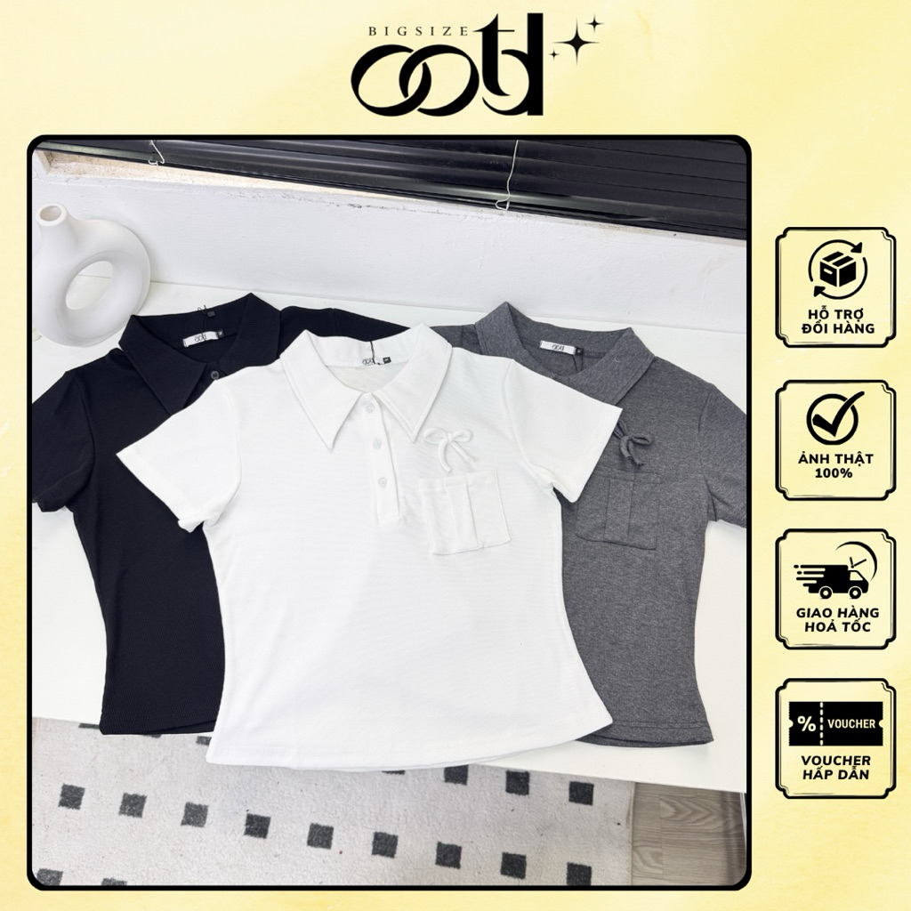 OOTD BIGSIZE - Áo thun polo bigsize nữ đính nơ túi ngực