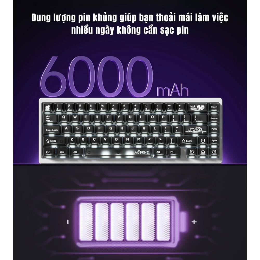 Case bàn phím cơ khung nhôm WEIKAV NUT65 - PCB 1.6mm - 3 mode - Gasket Mount - LED RGB - Có APP - Hotswap | BigBuy360 - bigbuy360.vn