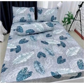 Bộ drap 4 món thun lạnh Hàn quốc mẫu mới nhất