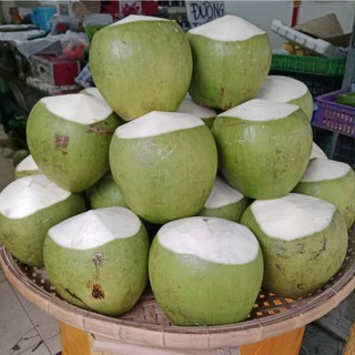 2 Trái  Dừa khô Bến Tre nhà trồng