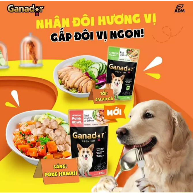 Pate cho chó mọi lứa tuổi Ganador Premium vị salad thịt gà gói 120gr
