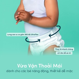 Tã/Bỉm Quần Rascals Size L (10-15kg) 52 miếng