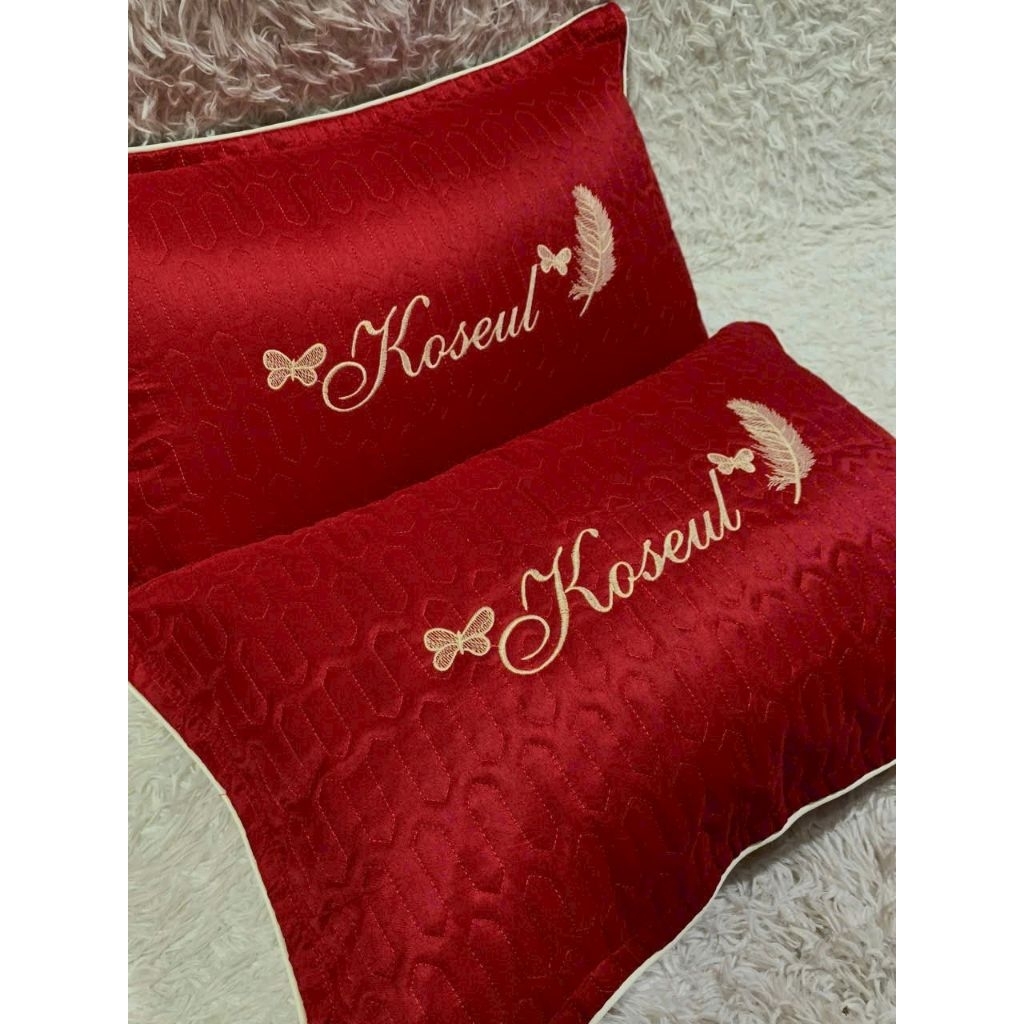 Gối kèm Ruột (1 chiếc ) gồm cả ruột và vỏ 40x60