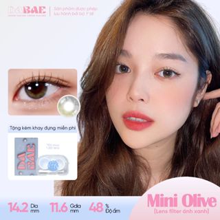 Kính áp tròng Hanoian Mini Olive lens màu olive tự nhiên 3 tháng DIA 14.2mm có độ 0-8 Hàn Quốc hãng Dabae