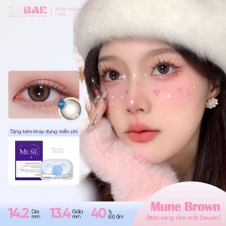  Kính áp tròng DABAE lens màu nâu tự nhiên 6 tháng DIA 14.2mm có độ cận 0-8 Mune Brown 
