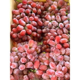 [Ship Hỏa Tốc HCM 1-2 giờ ] 1kg Nho Ruby ngon ngọt cuống có đen.
