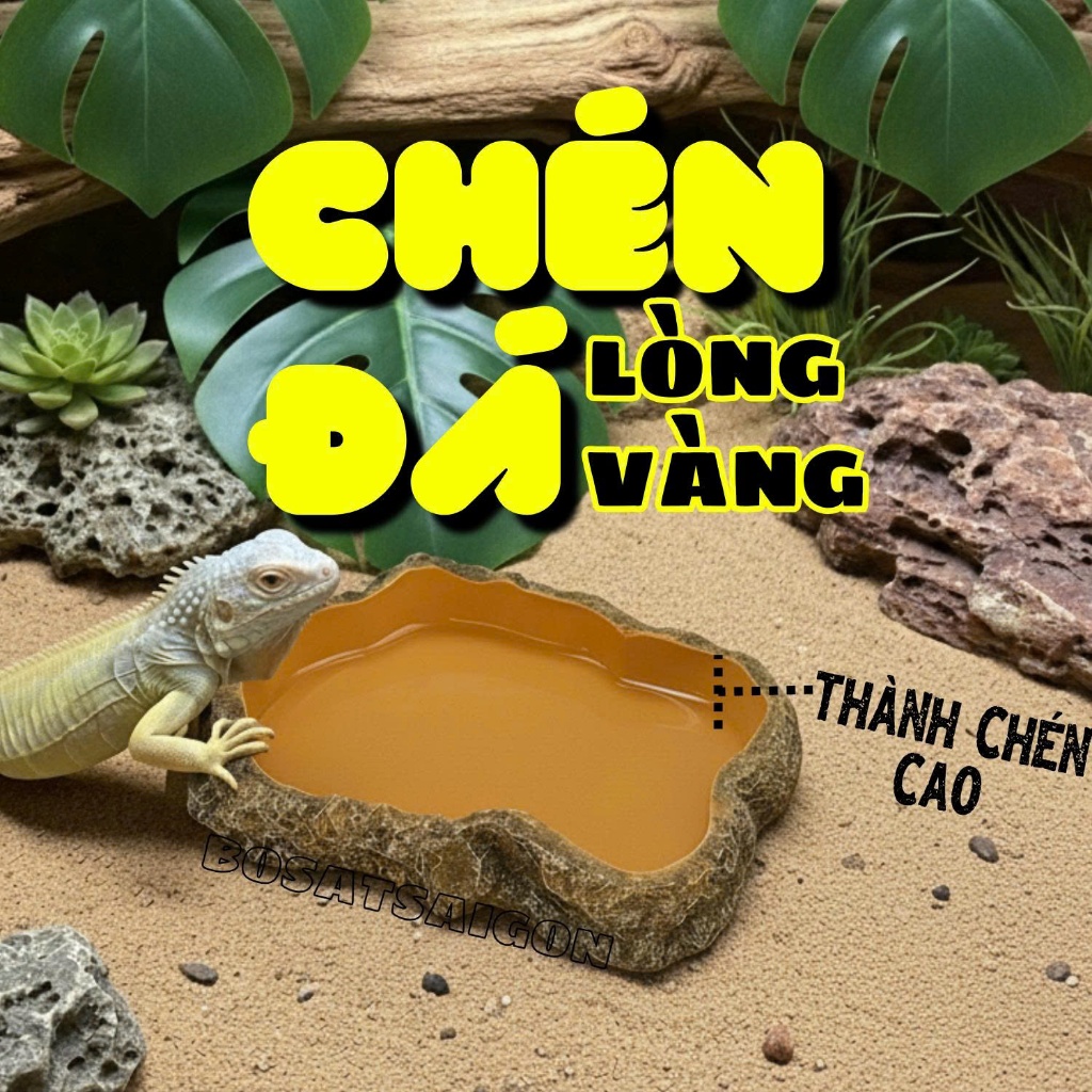 CHÉN ĐÁ LÒNG VÀNG DÙNG CHO BÒ SÁT THÚ CƯNG IGUANA RÙA CẠN SULCATA RÙA SAO ẤN