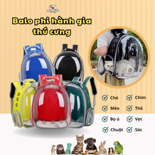  Balo cho mèo  balo phi hành gia cho chó mèo trong suốt 