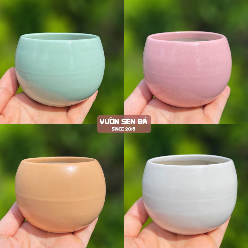 Chậu sứ hạt dẻ trơn mini 8x7cm - Vườn sen đá