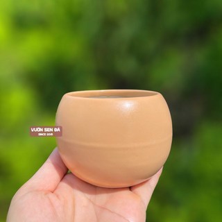 Chậu sứ hạt dẻ trơn mini 8x7cm - Vườn sen đá