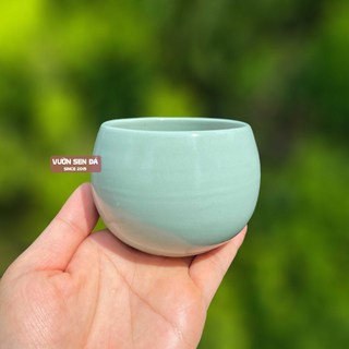 Chậu sứ hạt dẻ trơn mini 8x7cm - Vườn sen đá