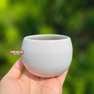 Chậu sứ hạt dẻ trơn mini 8x7cm - Vườn sen đá