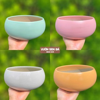  Chậu sứ tròn thấp - Cỡ vừa 19x9x17cm 