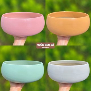  Chậu sứ tròn thấp - Cỡ lớn 25x10x20cm 