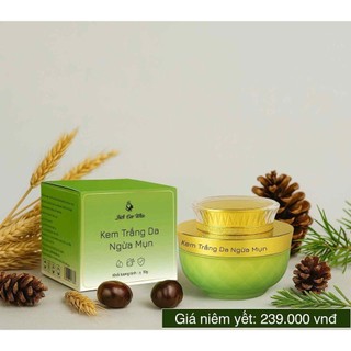 KEM Face dưỡng trắng ngừa mụn_BÍCH CAO WHITE_mẫu mới