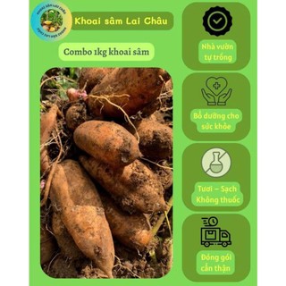    1 Kg Khoai Sâm Đất size nhỏ 7-9 củ   HƯ SHOP HOÀN TIỀN KO CẦN HOÀN HÀNG 