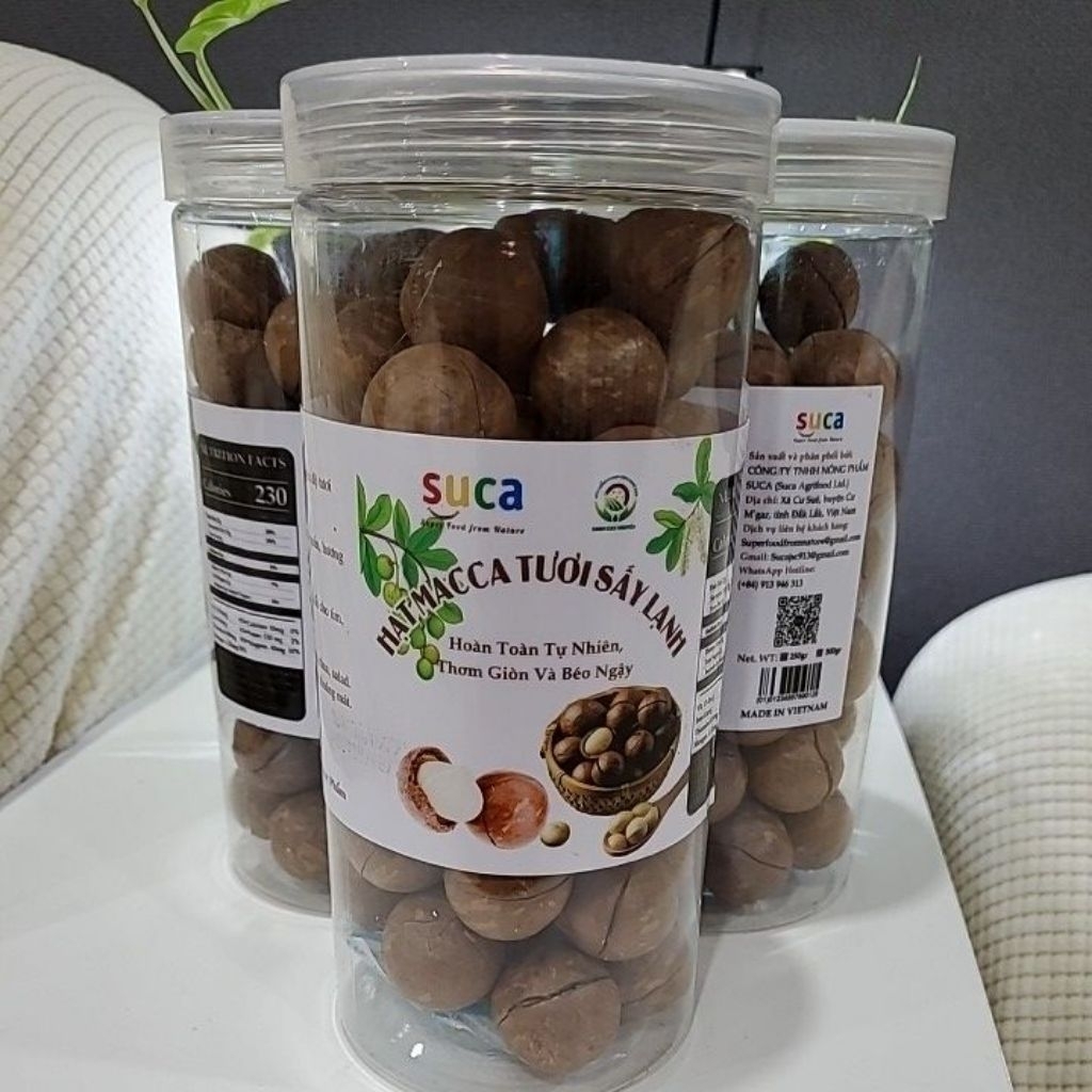 Hạt Macca tươi sấy lạnh công nghệ cao hiện đại mới nhất